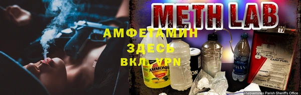 амф Вуктыл