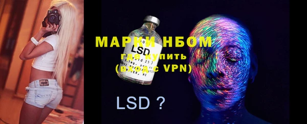 крисы Осташков