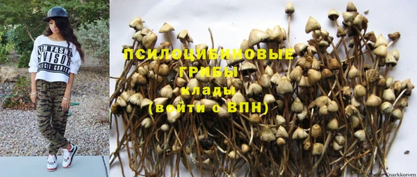 Альфа ПВП Всеволожск