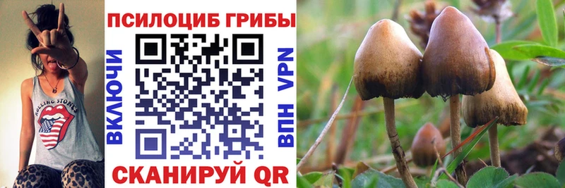 shop как зайти дарнет шоп Коркино Галлюциногенные грибы прущие грибы