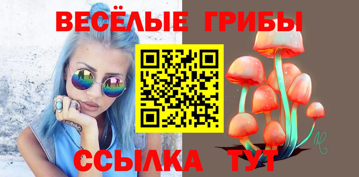 Псилоцибиновые грибы ЛСД Коркино